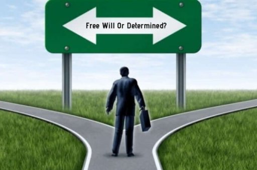 Free-Will-VS-Determinism-Do-We-Really-Have-Free-1